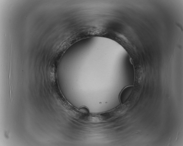 X0000103290510200809051503