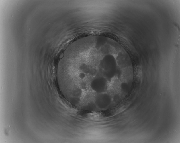 X0000103290511200809051503