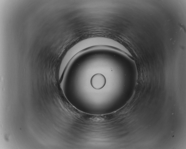 X0000103290512200809051503