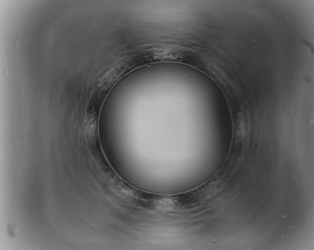 X0000103290513200809051503