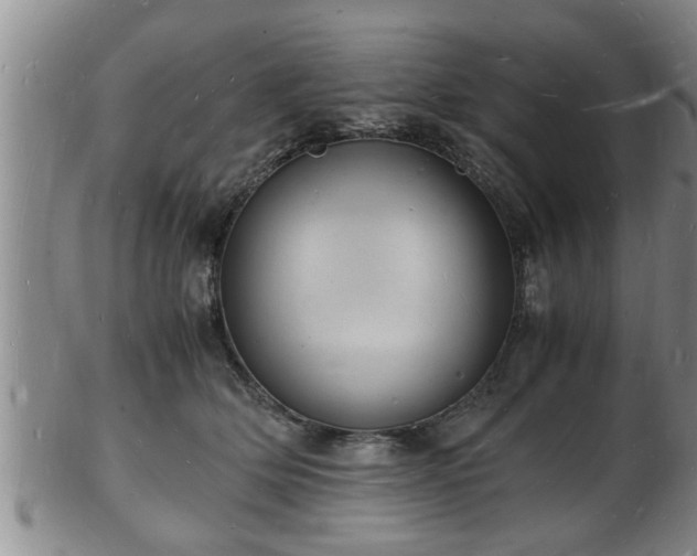 X0000103290514200809051503