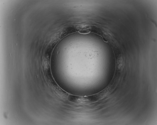 X0000103290515200809051503