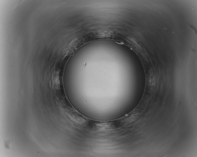 X0000103290516200809051503