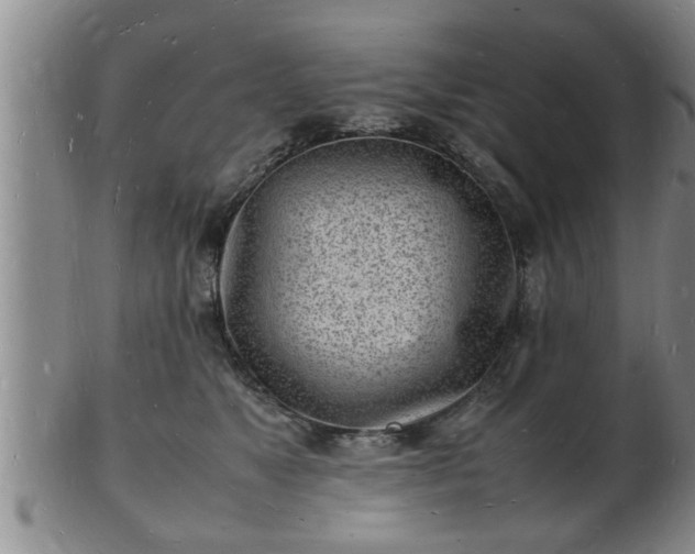 X0000103290517200809051502