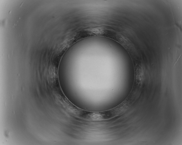 X0000103290518200809051502