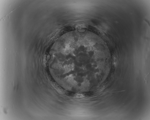 X0000103290519200809051502