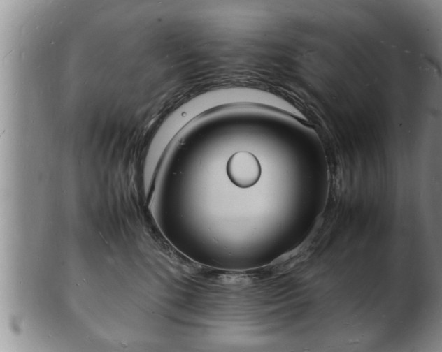 X0000103290520200809051502