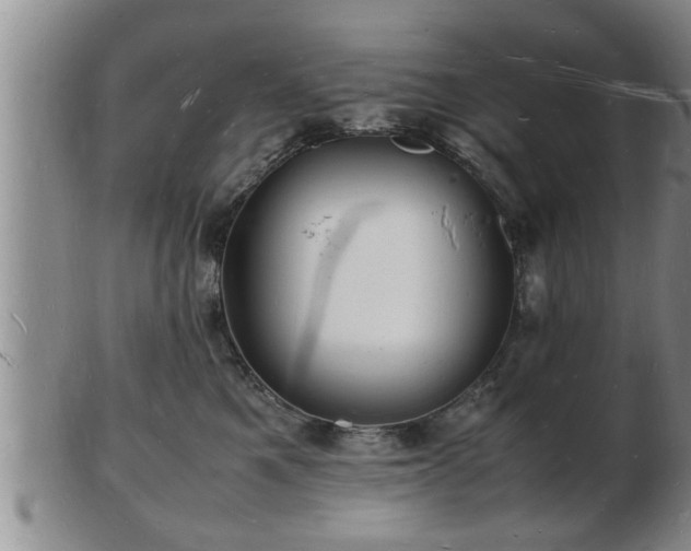 X0000103290521200809051502