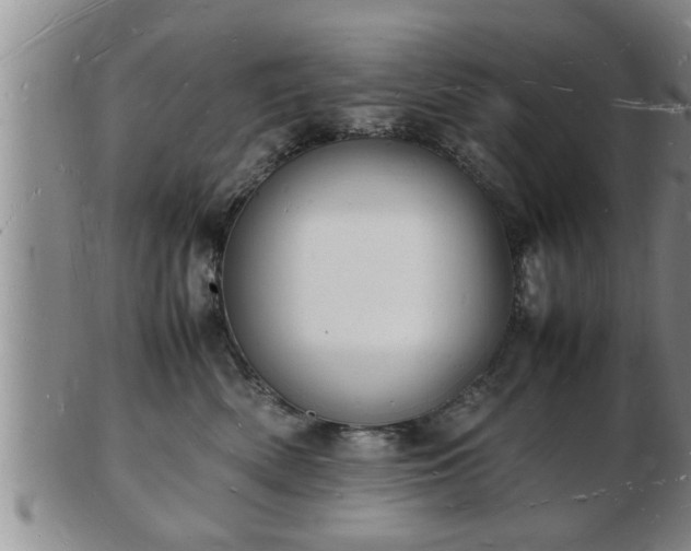 X0000103290522200809051502