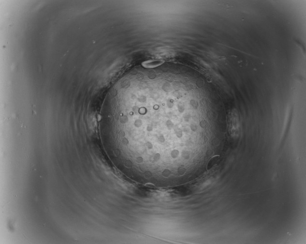 X0000103290523200809051502