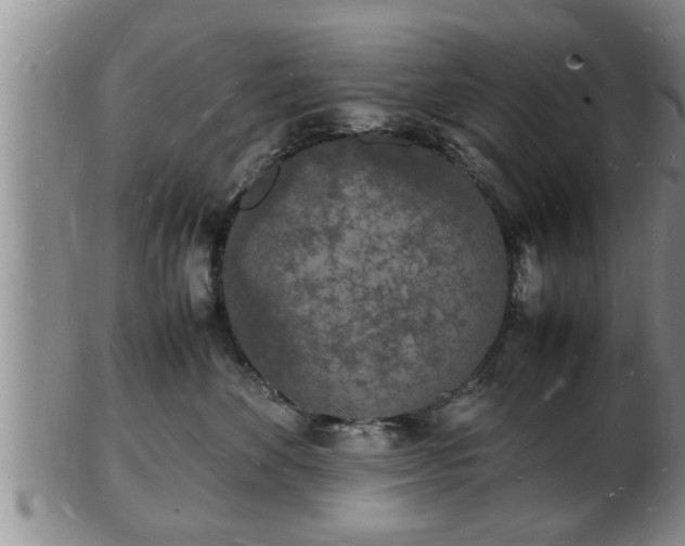 X0000103290524200809051502