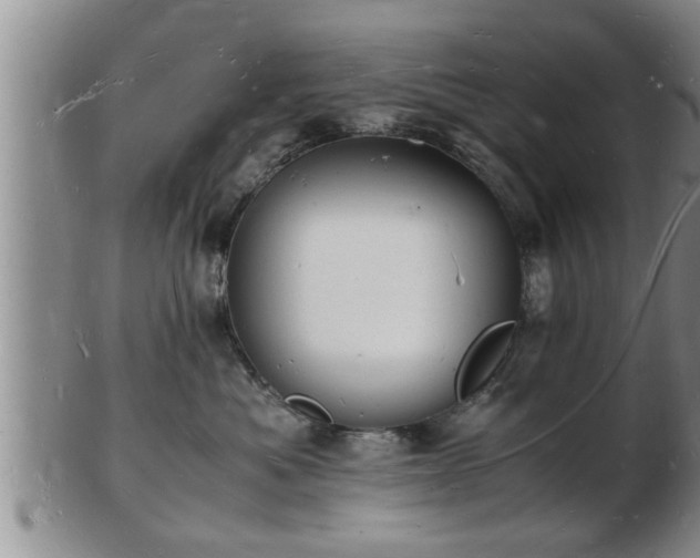 X0000103290525200809051502