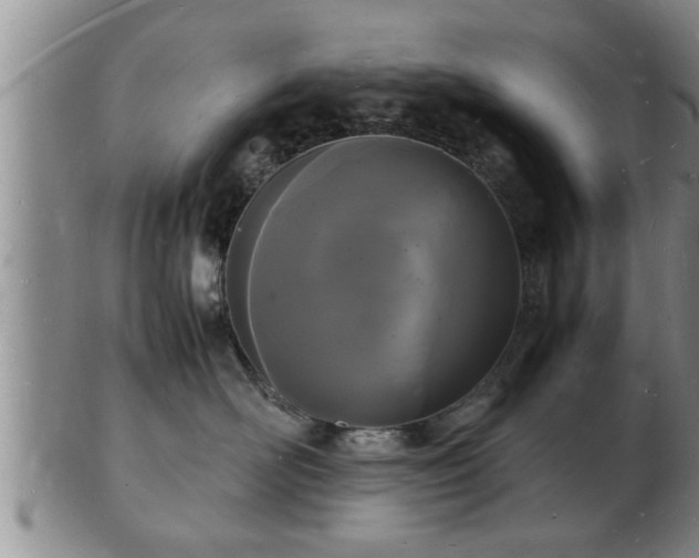 X0000103290526200809051502