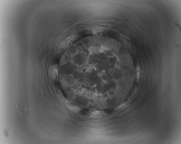 X0000103290527200809051502