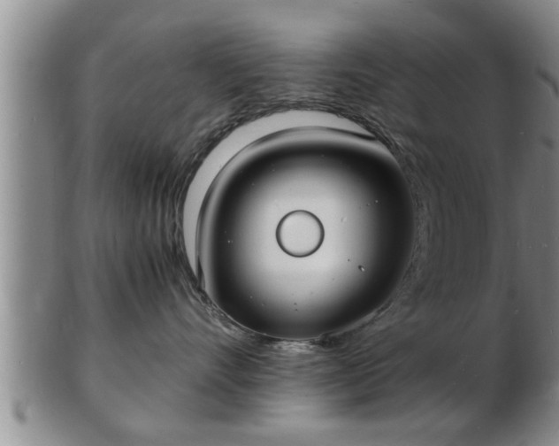 X0000103290528200809051502