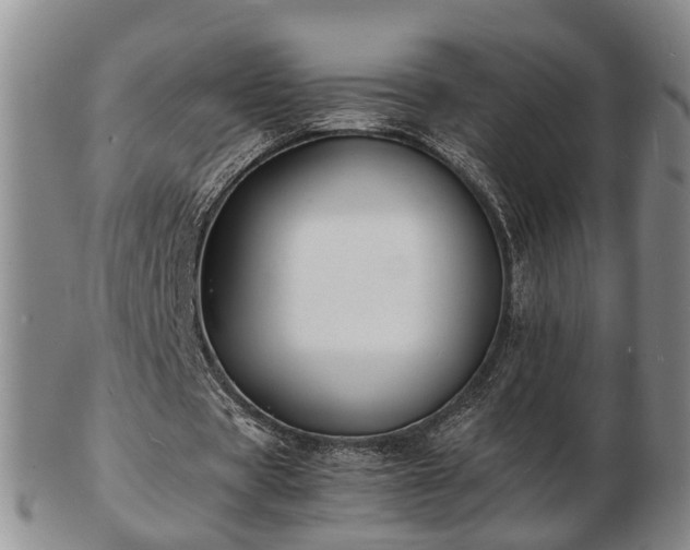 X0000103290529200809051501