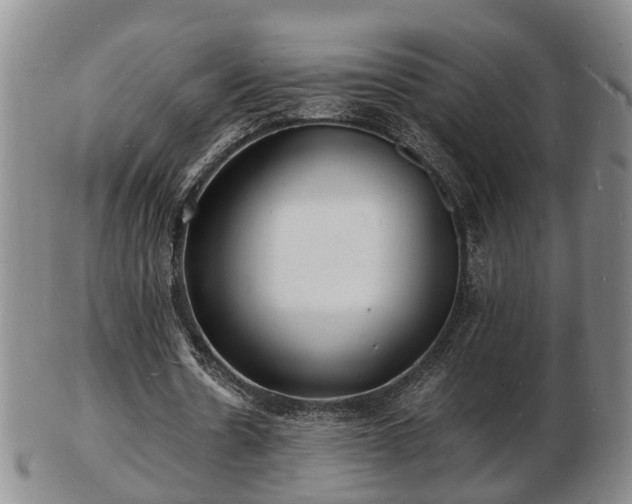 X0000103290530200809051501