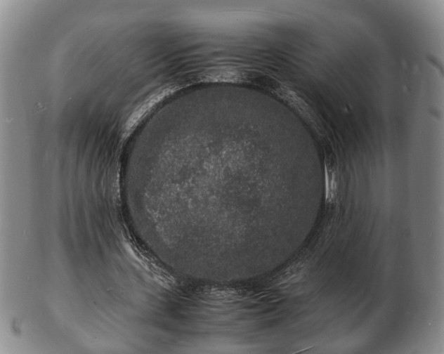 X0000103290531200809051501