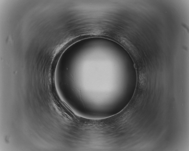 X0000103290532200809051501