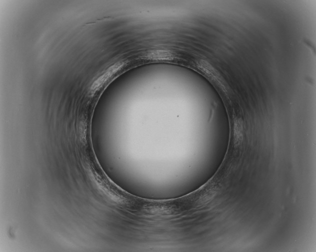 X0000103290533200809051502