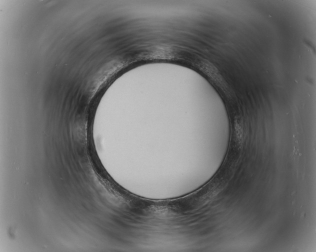 X0000103290534200809051502