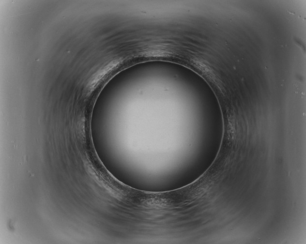 X0000103290535200809051502