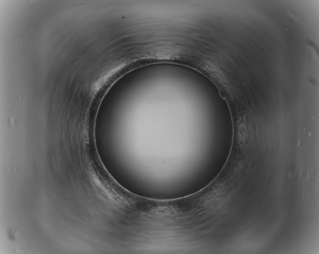 X0000103290536200809051502