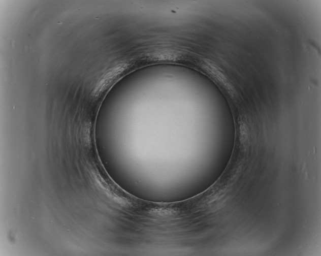 X0000103290537200809051502