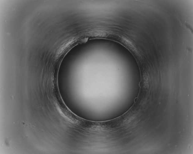 X0000103290538200809051502