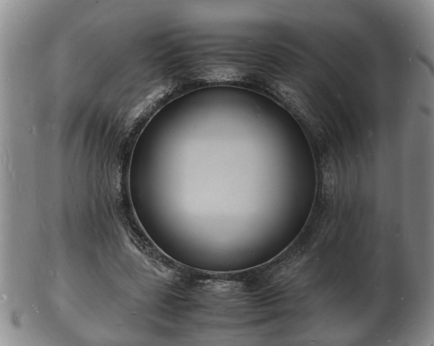 X0000103290539200809051502