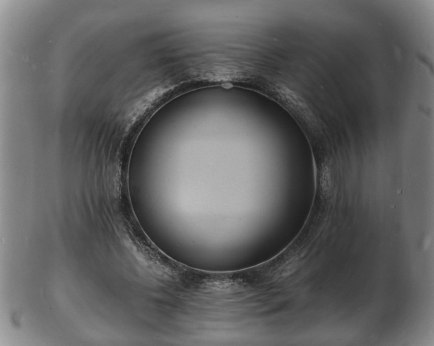 X0000103290540200809051502