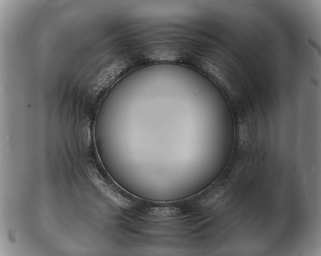 X0000103290541200809051502