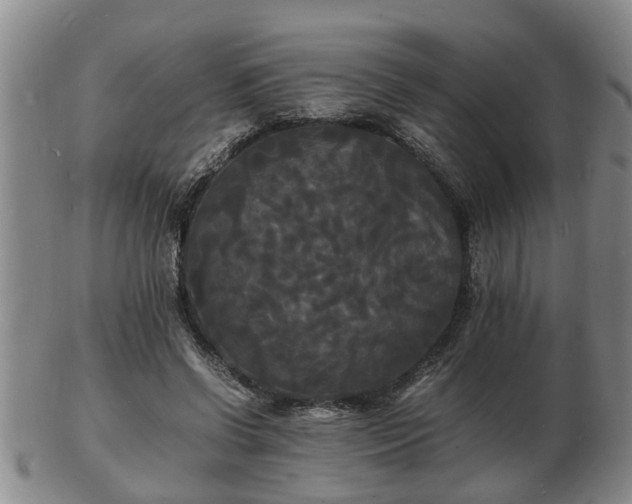 X0000103290542200809051502