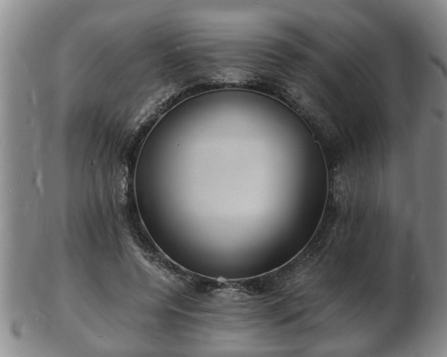 X0000103290544200809051502