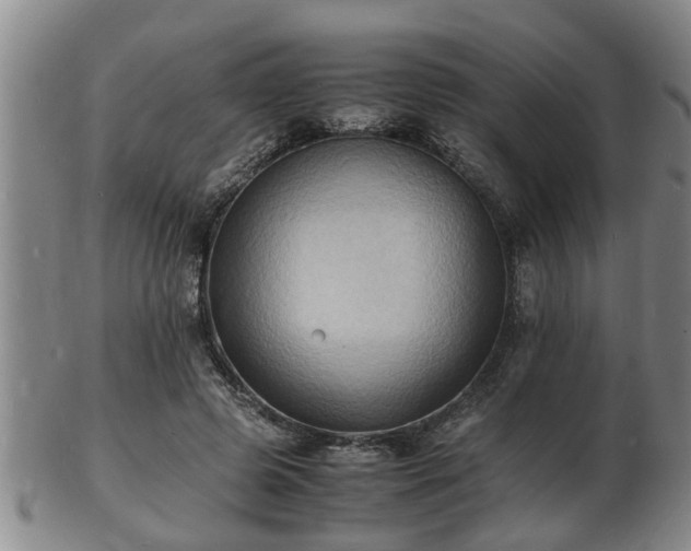 X0000103290545200809051502