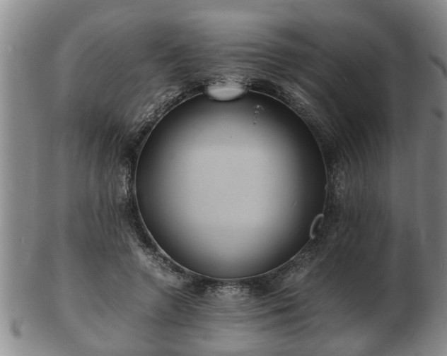 X0000103290546200809051502