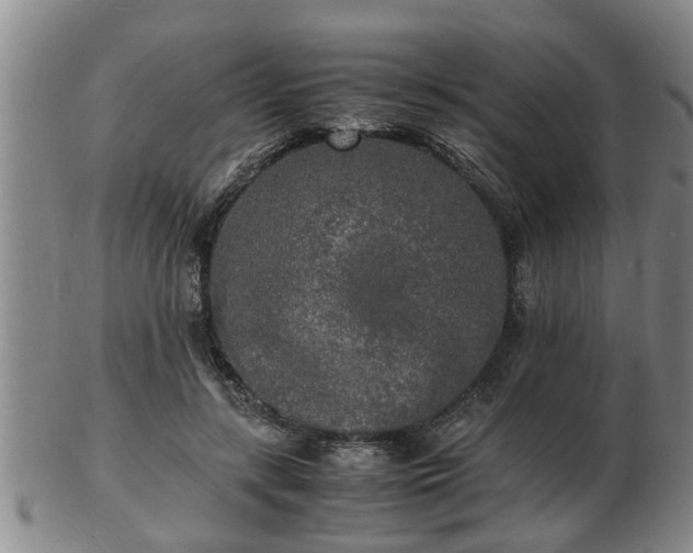 X0000103290547200809051502