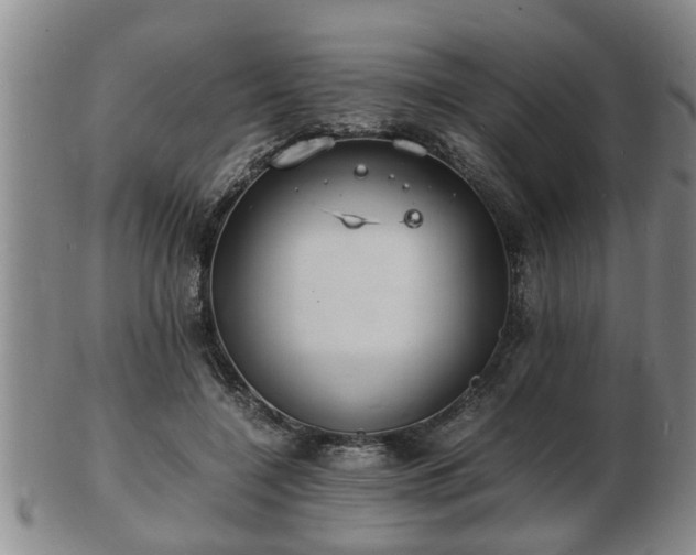 X0000103290548200809051502