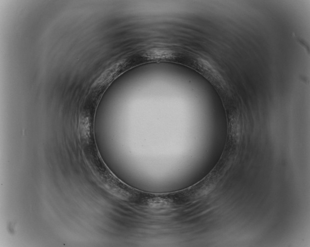 X0000103290549200809051502