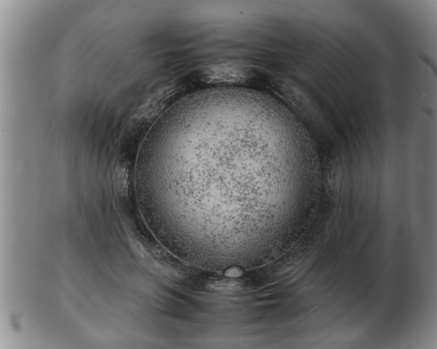 X0000103290551200809051502