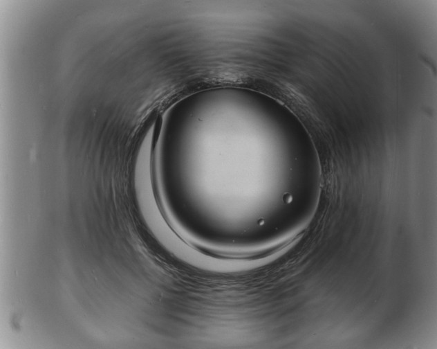 X0000103290552200809051502