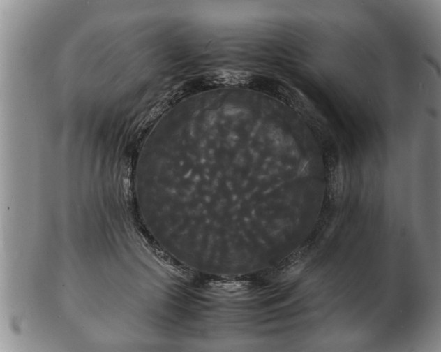 X0000103290553200809051502