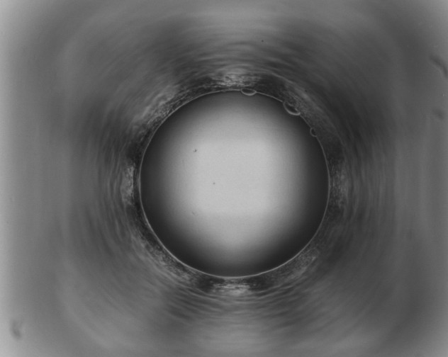 X0000103290554200809051502