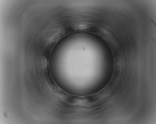 X0000103290555200809051502