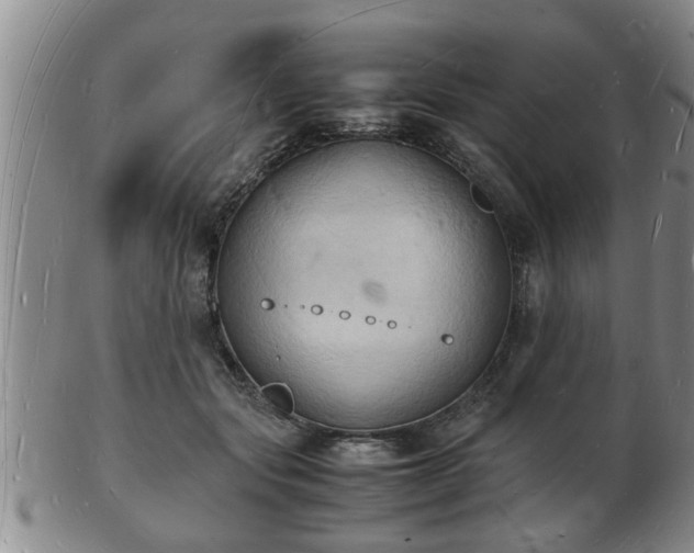 X0000103290557200809051502