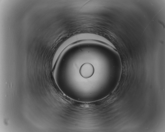 X0000103290558200809051502