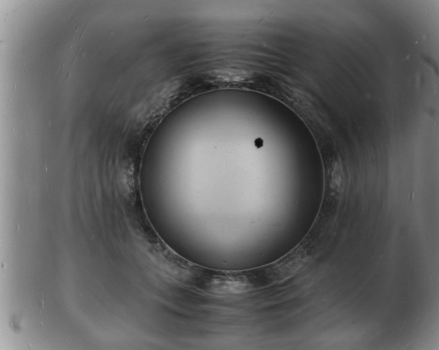 X0000103290559200809051502