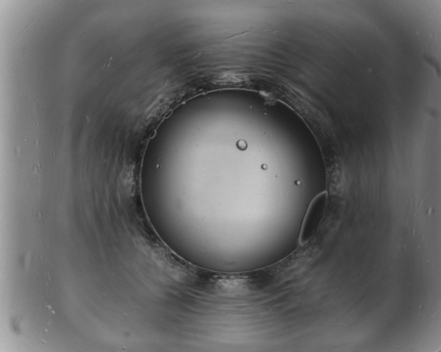 X0000103290560200809051502