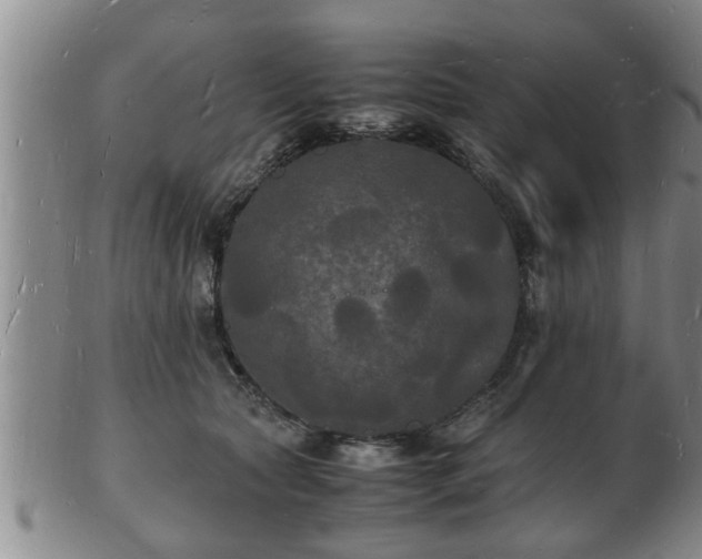 X0000103290561200809051502