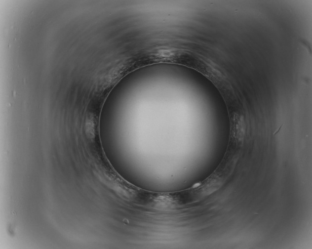 X0000103290562200809051502